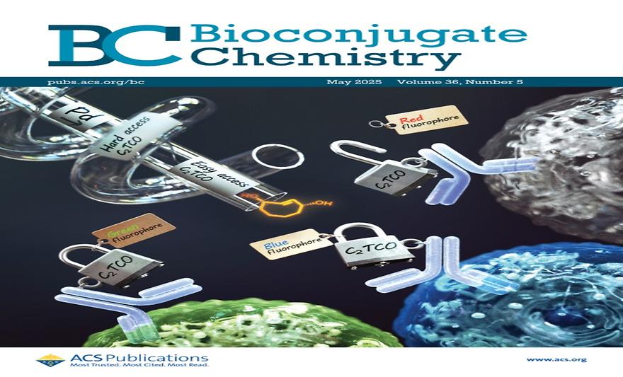 첨단바이오 김은하 교수팀, ‘똑똑한 화학기술’ 실용화 첫걸음  
