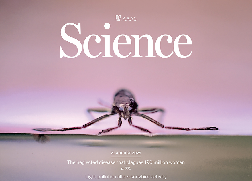 기계 고제성 교수팀, 소금쟁이과 곤충 움직임 메커니즘 밝혀 '초소형 로봇' 제작